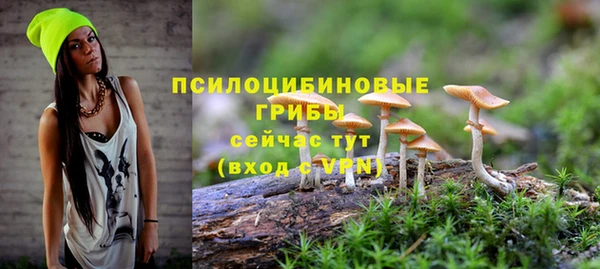 тгк Армянск