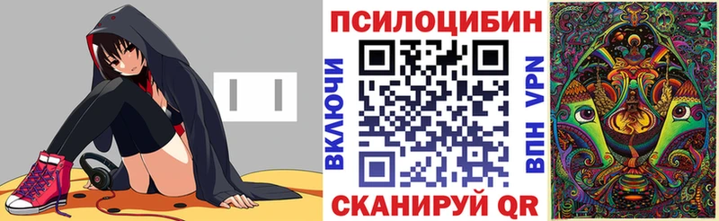 как найти закладки  Новороссийск  Псилоцибиновые грибы мухоморы 